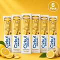 Protein Lemon Ginger 6-Pack